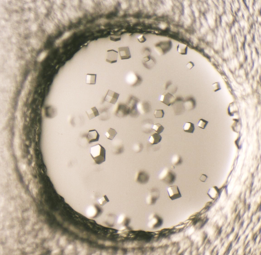 1526971688101701.jpg 1526971688101701.jpg