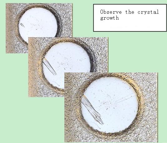 1526971725734853.jpg 4.jpg