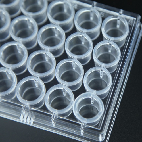 1561651731599690.jpg IMG_0296.JPG