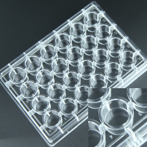 1562039919112829.png 24大悬500.png