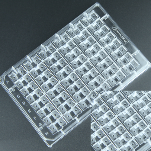 1562040409184950.png 48孔500.png